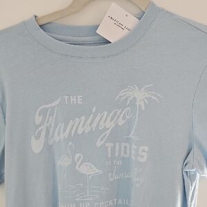 American Eagle Outfitters Light Blue Graphic Tee